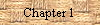 Chapter 1