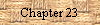 Chapter 23